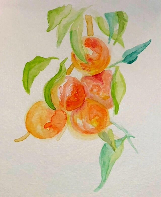 oranges