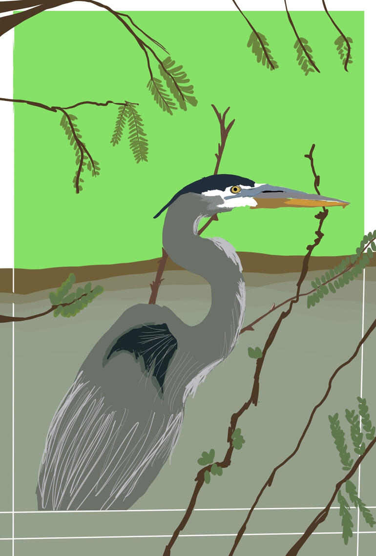 digi bird