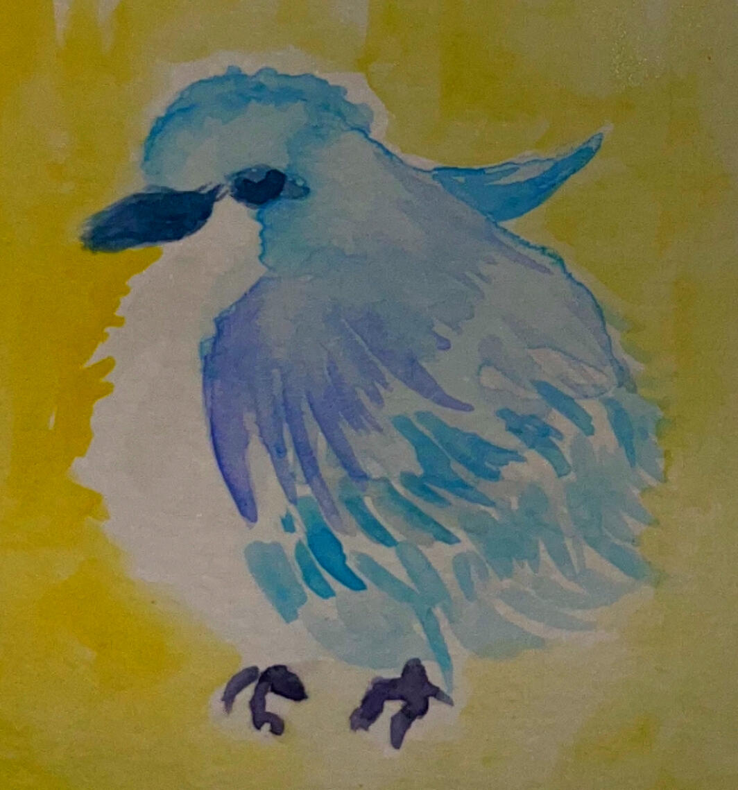 blue bird